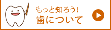 もっと知ろう歯について