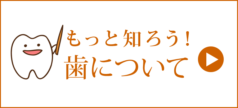 もっと知ろう歯について