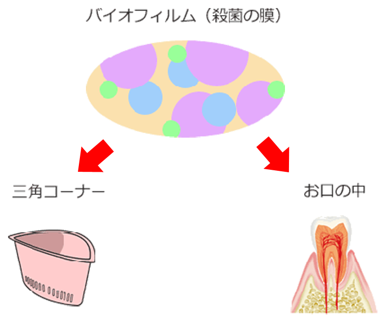 なぜ定期健診が必要なの？